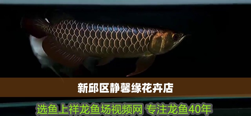 新邱區(qū)靜馨緣花卉店