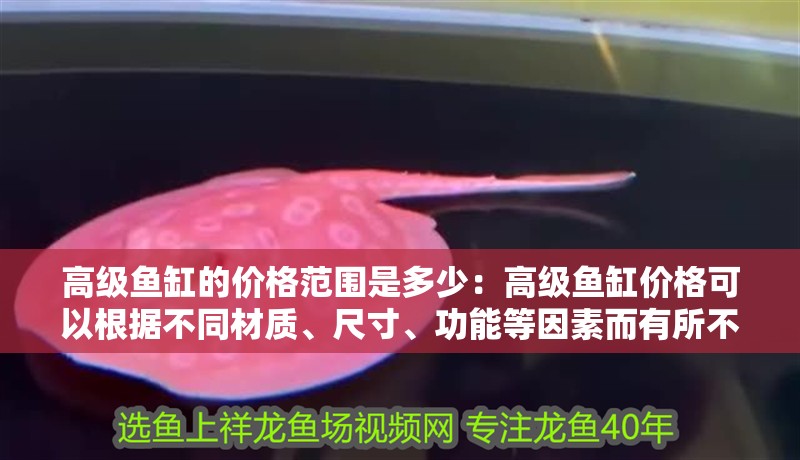 高級魚缸的價格范圍是多少：高級魚缸價格可以根據不同材質、尺寸、功能等因素而有所不同