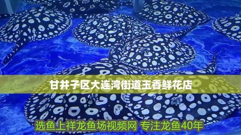 <strong><mark>甘井子</mark></strong>區大連灣街道玉香鮮花店