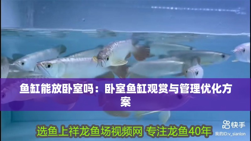 魚缸能放臥室嗎：臥室魚缸觀賞與管理優化方案