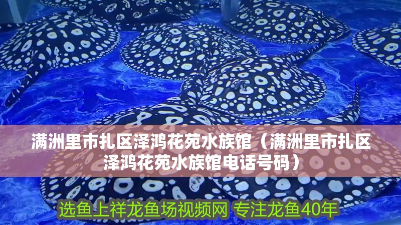 滿洲里市扎區澤鴻花苑水族館（滿洲里市扎區澤鴻花苑水族館電話號碼）