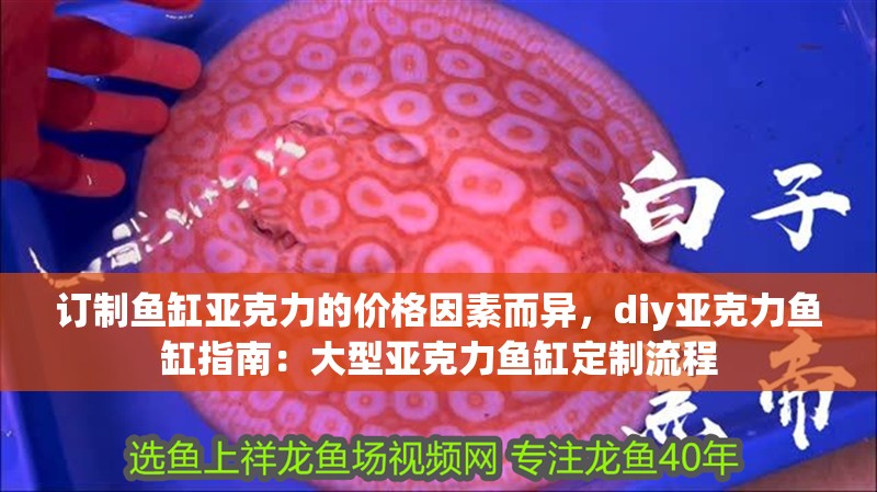 訂制魚缸亞克力的價格因素而異，diy亞克力魚缸指南：大型亞克力魚缸定制流程 訂制魚缸亞克力的價格因素而異，diy亞克力魚缸指南：大型亞克力魚缸定制流程 魚缸百科
