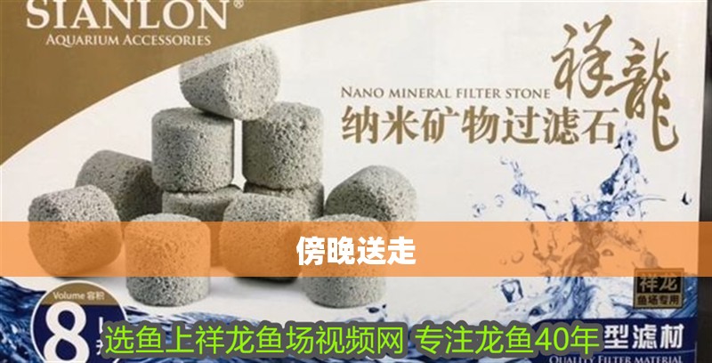 傍晚送走 傍晚送走 魚缸百科