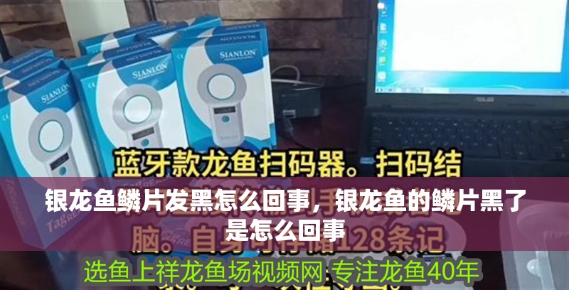 銀龍魚鱗片發黑怎么回事，銀龍魚的鱗片黑了是怎么回事