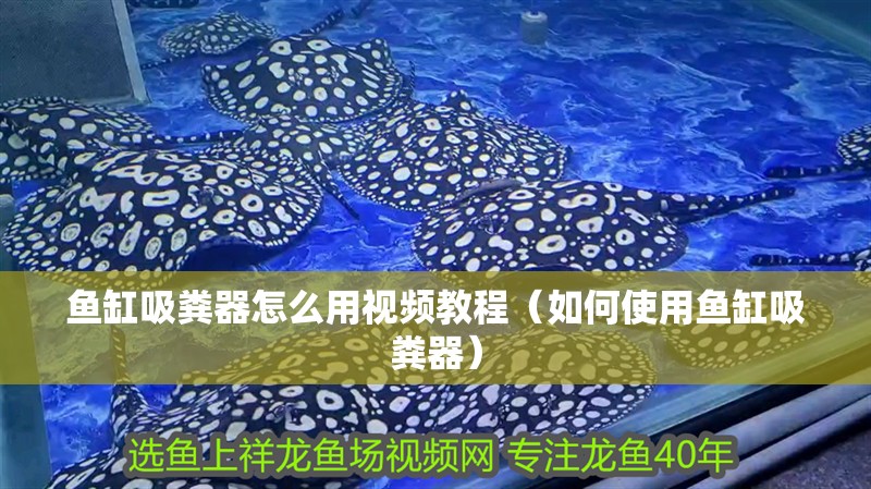 魚缸吸糞器怎么用視頻教程（如何使用魚缸吸糞器）