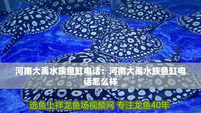 河南大禹水族魚缸電話：河南大禹水族魚缸電話怎么樣