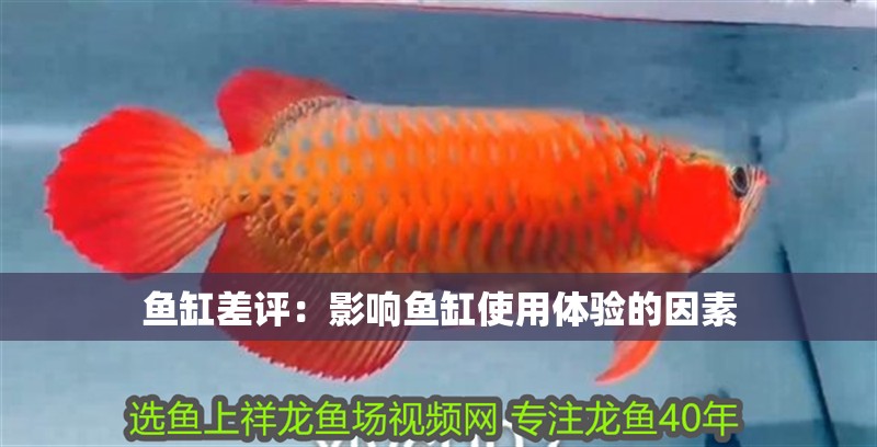 魚缸差評：影響魚缸使用體驗的因素