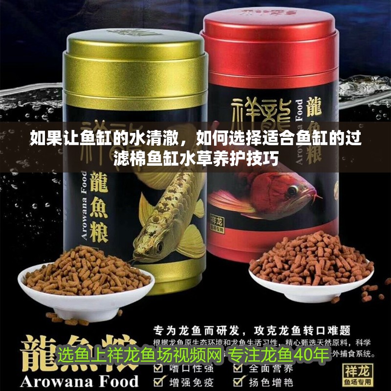 如果讓魚缸的水清澈，如何選擇適合魚缸的過濾棉魚缸水草養護技巧