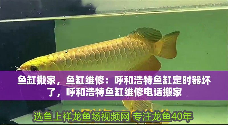 魚缸搬家，魚缸維修：呼和浩特魚缸定時器壞了，呼和浩特魚缸維修電話搬家