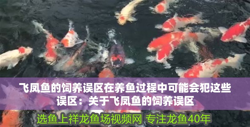 飛鳳魚的飼養(yǎng)誤區(qū)在養(yǎng)魚過程中可能會(huì)犯這些誤區(qū)：關(guān)于飛鳳魚的飼養(yǎng)誤區(qū)
