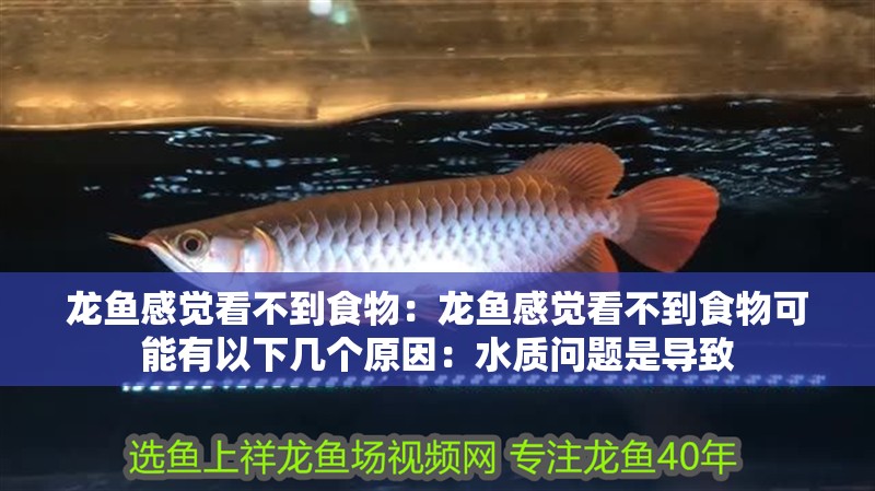 龍魚感覺看不到食物：龍魚感覺看不到食物可能有以下幾個原因：水質問題是導致 龍魚感覺看不到食物：龍魚感覺看不到食物可能有以下幾個原因：水質問題是導致 龍魚百科