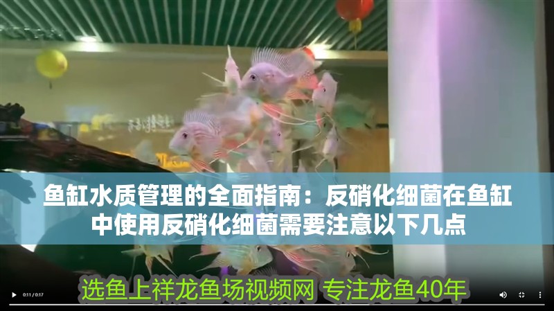 魚缸水質管理的全面指南：反硝化細菌在魚缸中使用反硝化細菌需要注意以下幾點