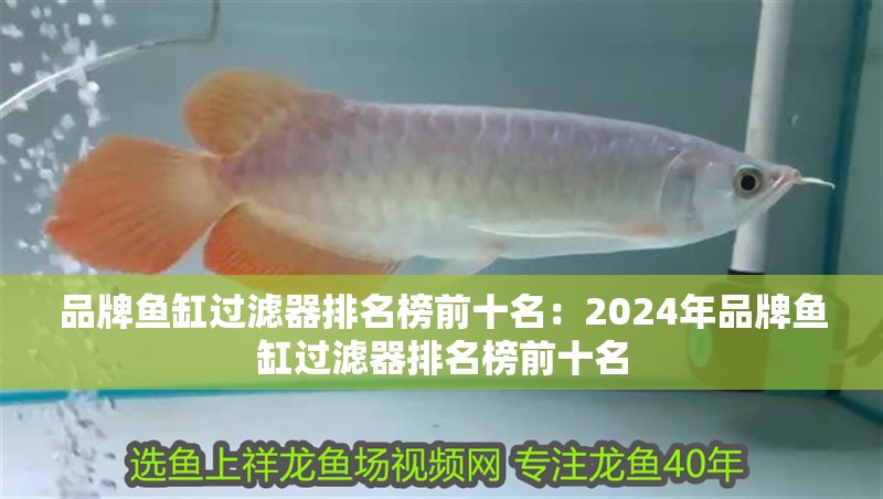 品牌魚缸過濾器排名榜前十名：2024年品牌魚缸過濾器排名榜前十名