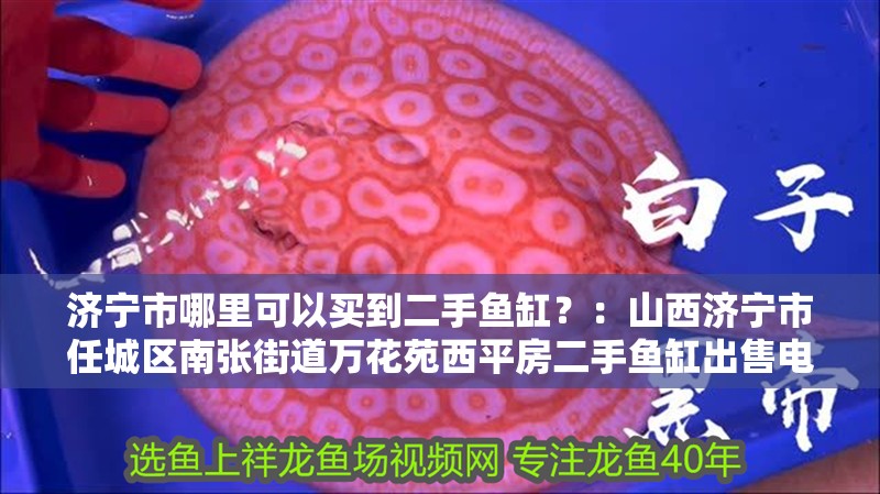 濟寧市哪里可以買到二手魚缸？：山西濟寧市任城區南張街道萬花苑西平房二手魚缸出售電話多少 濟寧市哪里可以買到二手魚缸？：山西濟寧市任城區南張街道萬花苑西平房二手魚缸出售電話多少 魚缸百科