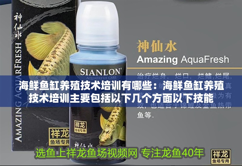 海鮮魚(yú)缸養(yǎng)殖技術(shù)培訓(xùn)有哪些：海鮮魚(yú)缸養(yǎng)殖技術(shù)培訓(xùn)主要包括以下幾個(gè)方面以下技能
