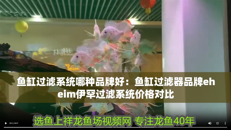 魚缸過濾系統(tǒng)哪種品牌好：魚缸過濾器品牌eheim伊罕過濾系統(tǒng)價格對比