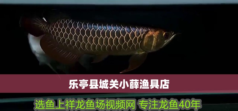 樂亭縣城關小薛漁具店