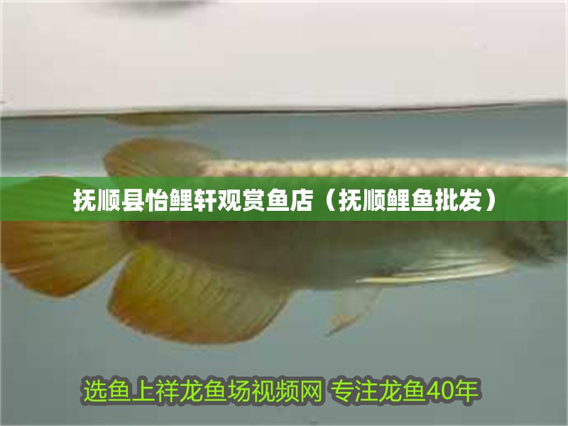 撫順縣怡鯉軒觀賞魚店（撫順鯉魚批發） 撫順縣怡鯉軒觀賞魚店（撫順鯉魚批發） 全國水族館企業名錄