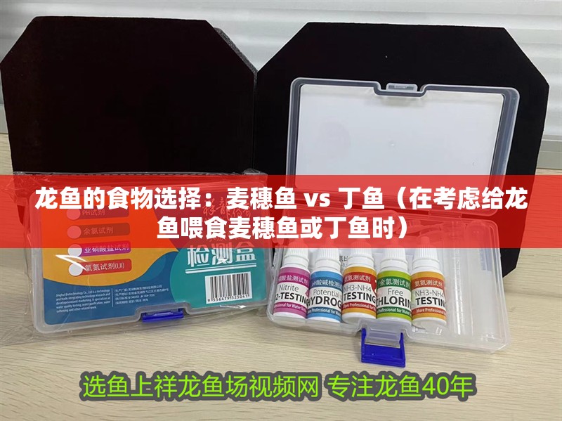 龍魚的食物選擇：麥穗魚 vs 丁魚（在考慮給龍魚喂食麥穗魚或丁魚時）