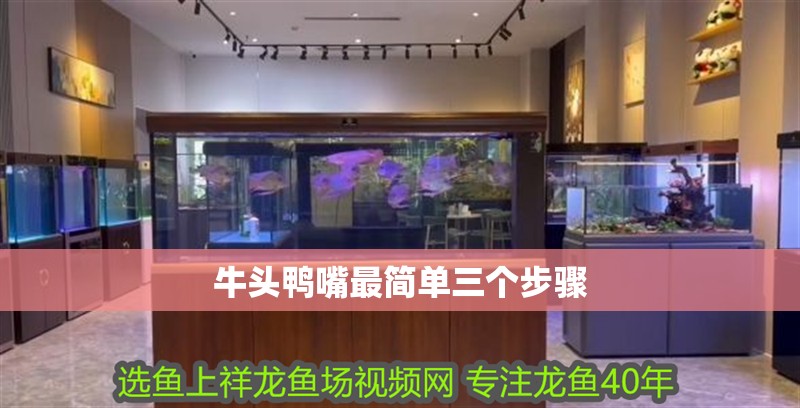 牛頭鴨嘴最簡單三個步驟 牛頭鴨嘴最簡單三個步驟 龍魚論壇