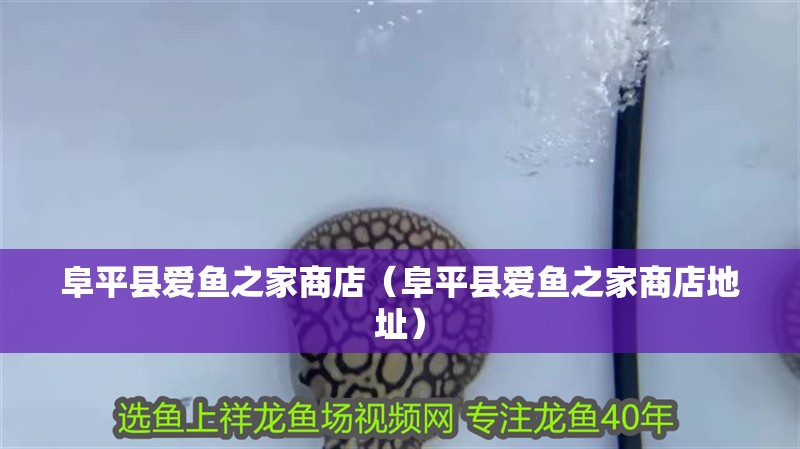 阜平縣愛魚之家商店（阜平縣愛魚之家商店地址） 阜平縣愛魚之家商店（阜平縣愛魚之家商店地址） 全國水族館企業(yè)名錄