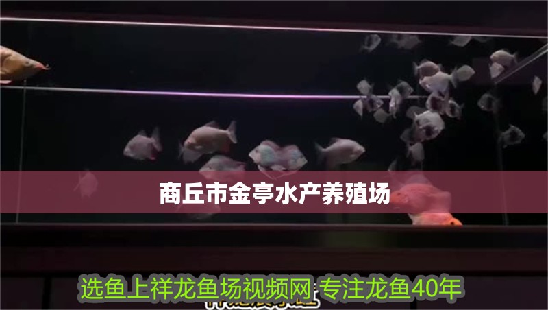 商丘市金亭水產養殖場