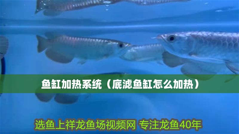 魚缸加熱系統（底濾魚缸怎么加熱）