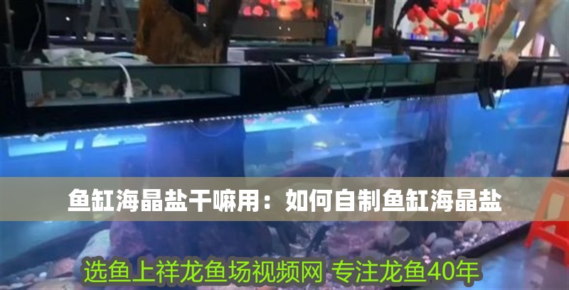 魚缸海晶鹽干嘛用：如何自制魚缸海晶鹽