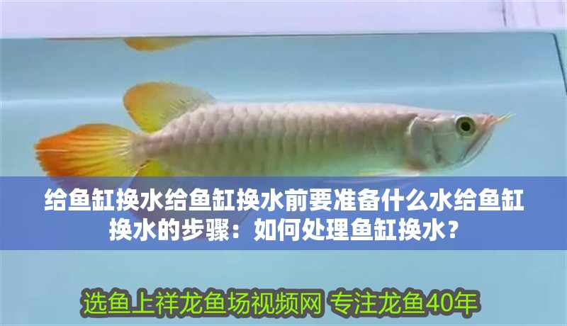 給魚缸換水給魚缸換水前要準備什么水給魚缸換水的步驟：如何處理魚缸換水？ 給魚缸換水給魚缸換水前要準備什么水給魚缸換水的步驟：如何處理魚缸換水？ 魚缸百科