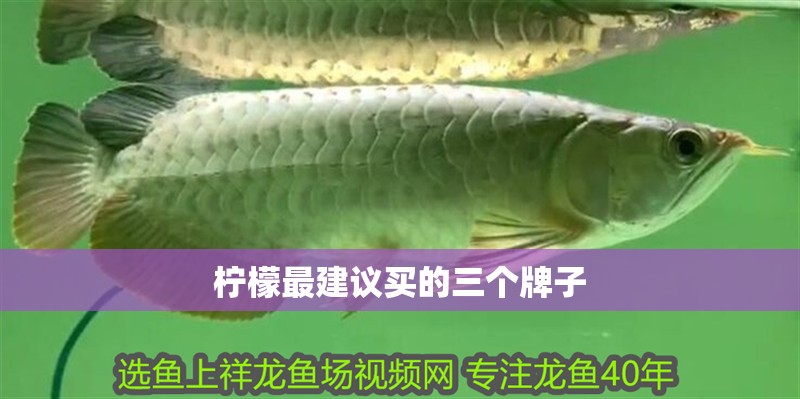 檸檬最建議買的三個(gè)牌子