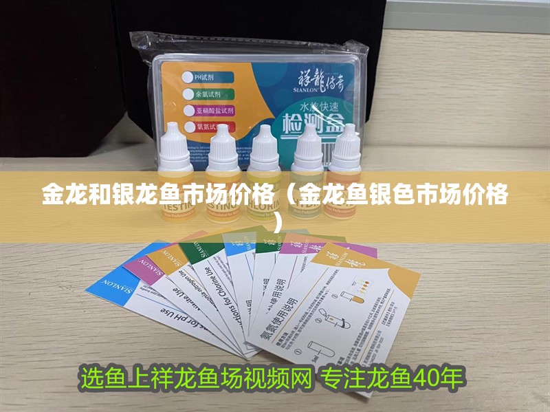 金龍和銀龍魚市場價(jià)格（金龍魚銀色市場價(jià)格）
