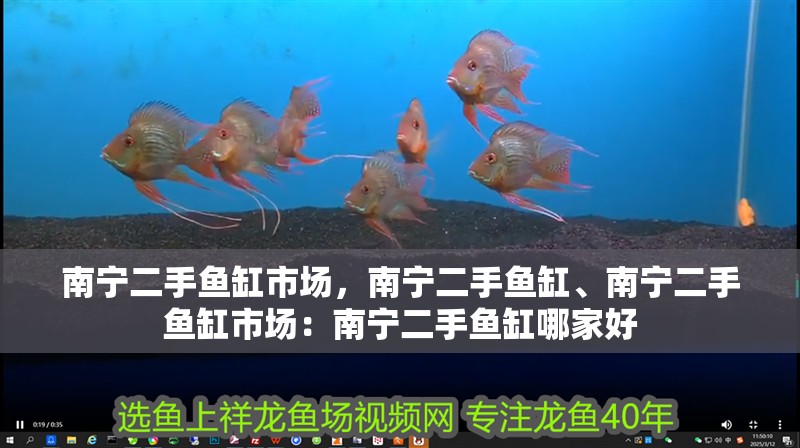 南寧二手魚缸市場，南寧二手魚缸、南寧二手魚缸市場：南寧二手魚缸哪家好