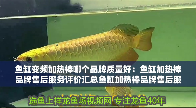 魚缸變頻加熱棒哪個品牌質(zhì)量好：魚缸加熱棒品牌售后服務(wù)評價匯總魚缸加熱棒品牌售后服務(wù)