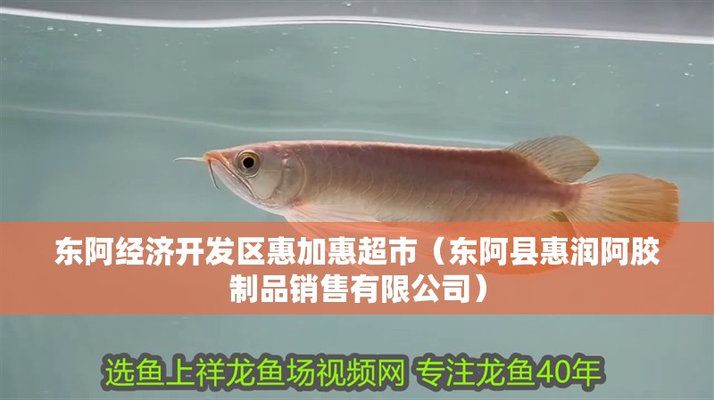 東阿經(jīng)濟開發(fā)區(qū)惠加惠超市（東阿縣惠潤阿膠制品銷售有限公司）