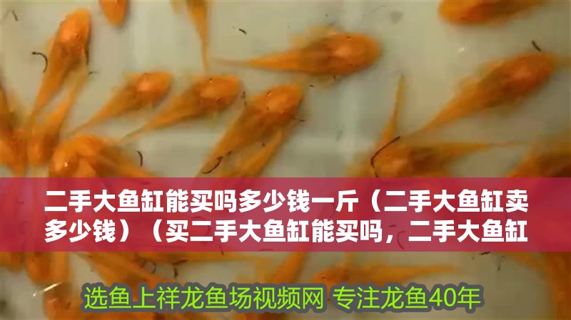 二手大魚缸能買嗎多少錢一斤（二手大魚缸賣多少錢）（買二手大魚缸能買嗎，二手大魚缸能買嗎） 二手大魚缸能買嗎多少錢一斤（二手大魚缸賣多少錢）（買二手大魚缸能買嗎，二手大魚缸能買嗎） 魚缸百科