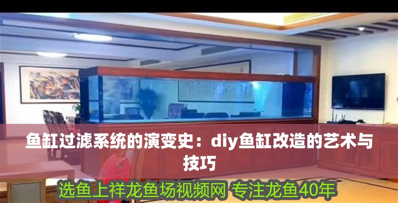 魚缸過濾系統(tǒng)的演變史：diy魚缸改造的藝術(shù)與技巧