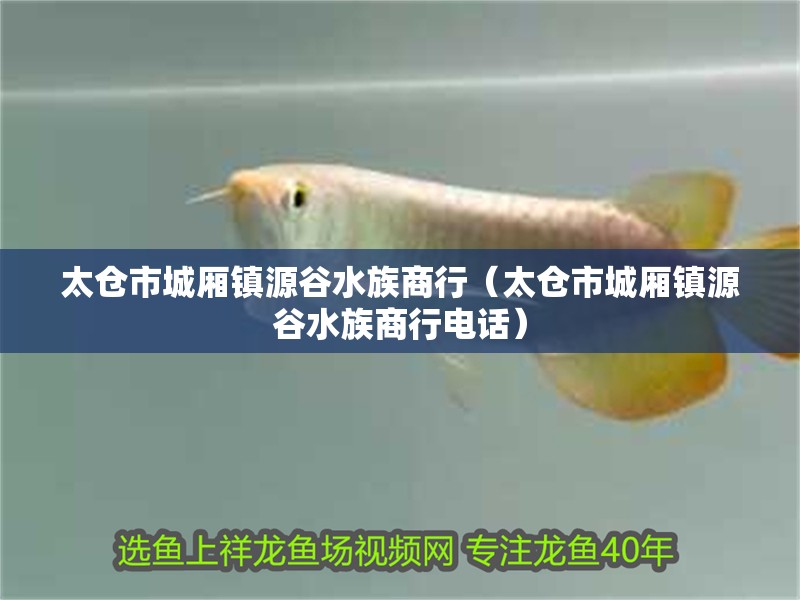 太倉市城廂鎮源谷水族商行（太倉市城廂鎮源谷水族商行電話）