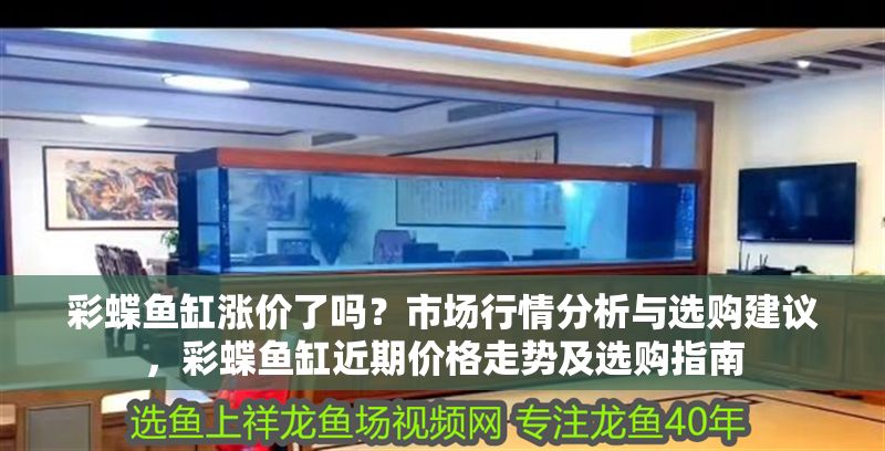 彩蝶魚缸漲價了嗎？市場行情分析與選購建議，彩蝶魚缸近期價格走勢及選購指南