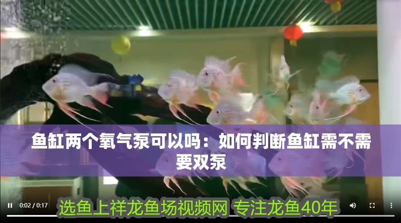 魚(yú)缸兩個(gè)氧氣泵可以嗎：如何判斷魚(yú)缸需不需要雙泵