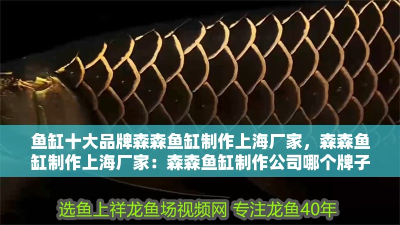 魚缸十大品牌森森魚缸制作上海廠家，森森魚缸制作上海廠家：森森魚缸制作公司哪個牌子好