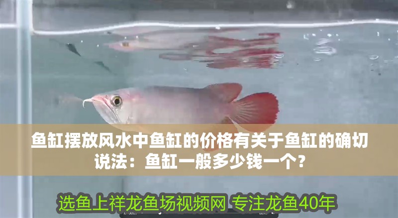 魚缸擺放風水中魚缸的價格有關于魚缸的確切說法：魚缸一般多少錢一個？ 魚缸擺放風水中魚缸的價格有關于魚缸的確切說法：魚缸一般多少錢一個？ 魚缸百科