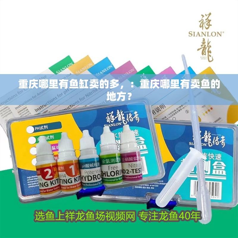 重慶哪里有魚缸賣的多，：重慶哪里有賣魚的地方？