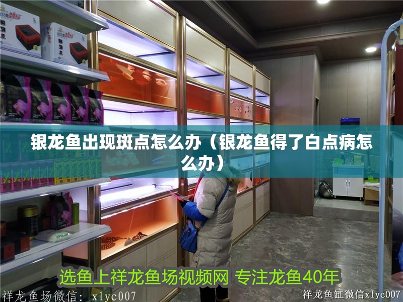 銀龍魚出現斑點怎么辦（銀龍魚得了白點病怎么辦）
