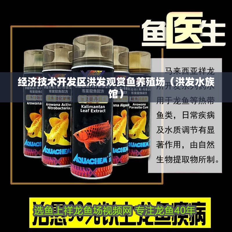 魚缸過濾器選購指南:自制魚缸過濾器魚缸上置過濾器對于養魚愛好者的必備知識 經濟技術開發區洪發觀賞魚養殖場(洪發水族館) 全國水族館企業名錄 經濟技術開發區洪發觀賞魚養殖場(洪發水族館) 經濟技術開發區洪發觀賞魚養殖場(洪發水族館) 全國水族館企業名錄