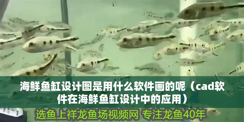海鮮魚缸設計圖是用什么軟件畫的呢（cad軟件在海鮮魚缸設計中的應用）