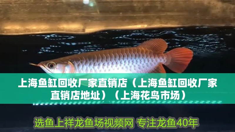 上海魚缸回收廠家直銷店（上海魚缸回收廠家直銷店地址）（上海花鳥市場） 上海魚缸回收廠家直銷店（上海魚缸回收廠家直銷店地址）（上海花鳥市場） 魚缸百科