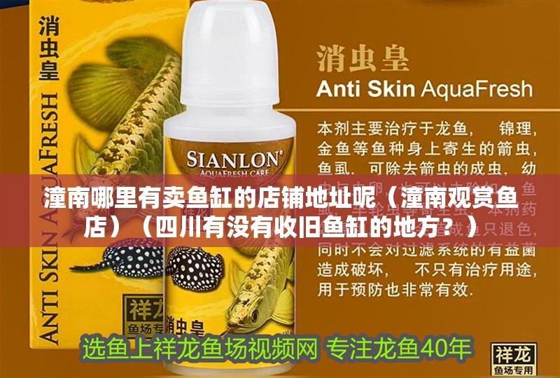 潼南哪里有賣魚缸的店鋪地址呢（潼南觀賞魚店）（四川有沒有收舊魚缸的地方？）