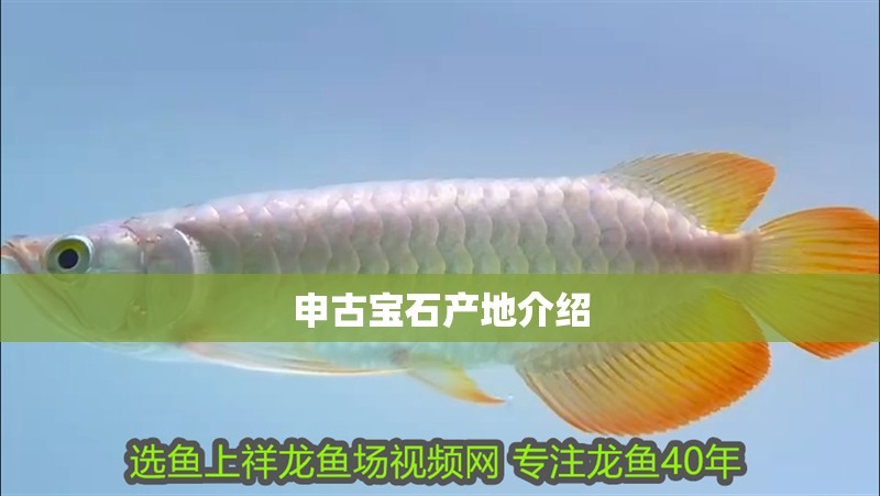 申古寶石產地介紹