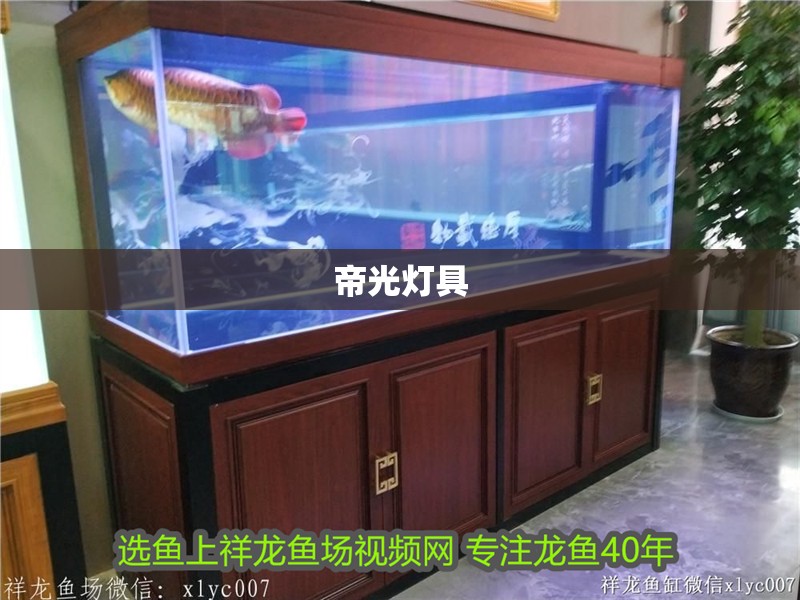 魚缸過濾器選購指南:自制魚缸過濾器魚缸上置過濾器對于養魚愛好者的必備知識 帝光燈具 龍魚論壇 帝光燈具 帝光燈具 龍魚論壇