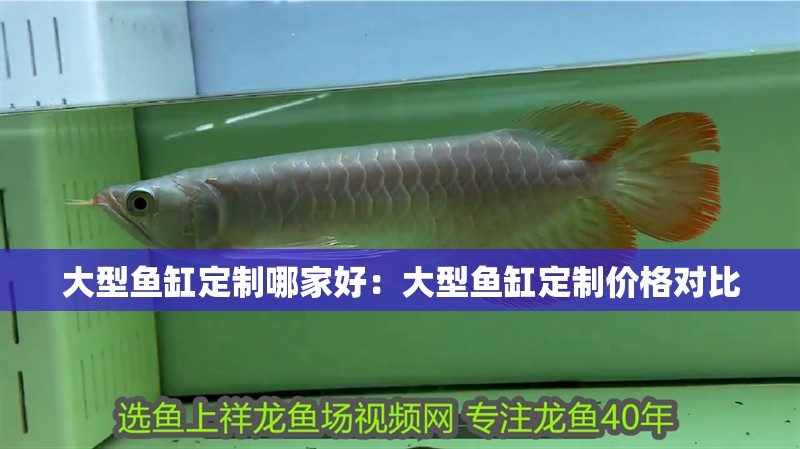大型魚缸定制哪家好：大型魚缸定制價格對比